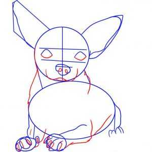 Как нарисовать чихуахуа карандашом поэтапно для детей, Как нарисовать чихуахуа карандашом поэтапно для детей