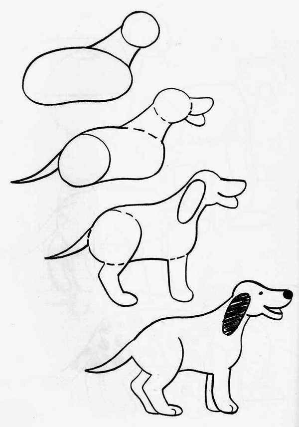 Как нарисовать чихуахуа карандашом поэтапно для детей, Как нарисовать чихуахуа карандашом поэтапно для детей